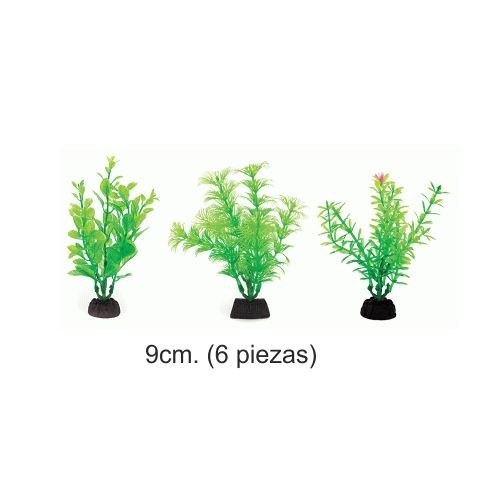 PLANTA AQUA GREEN 9cm. 6 piezas