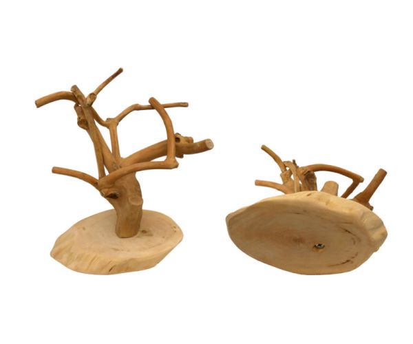 JAVA MINI Tree, Coffeewood Base-XS