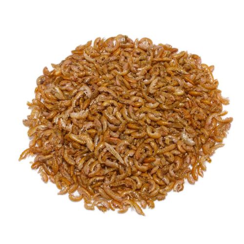 GAMMARUS GRANEL. Precio/Kilo