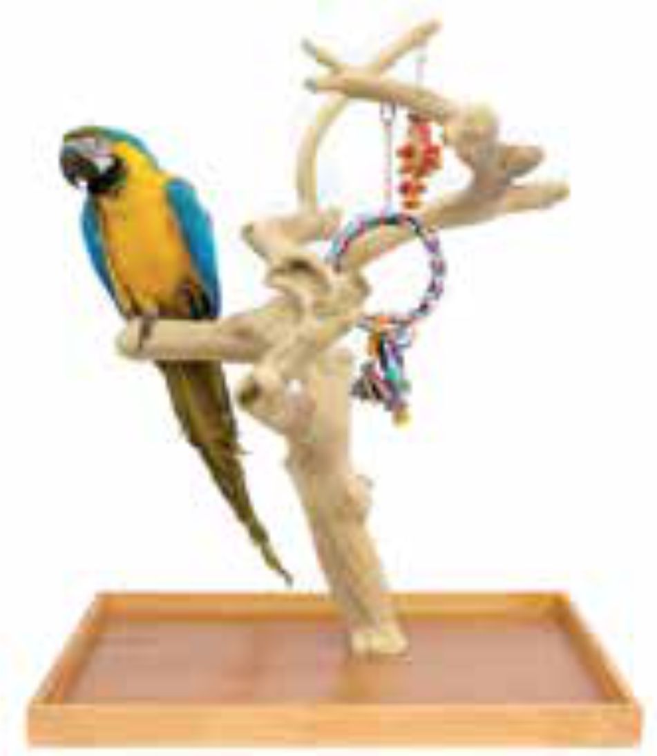 SUN PARROTS ARBOL MINI Large +COMEDERO JAVA Ref.bowl-s