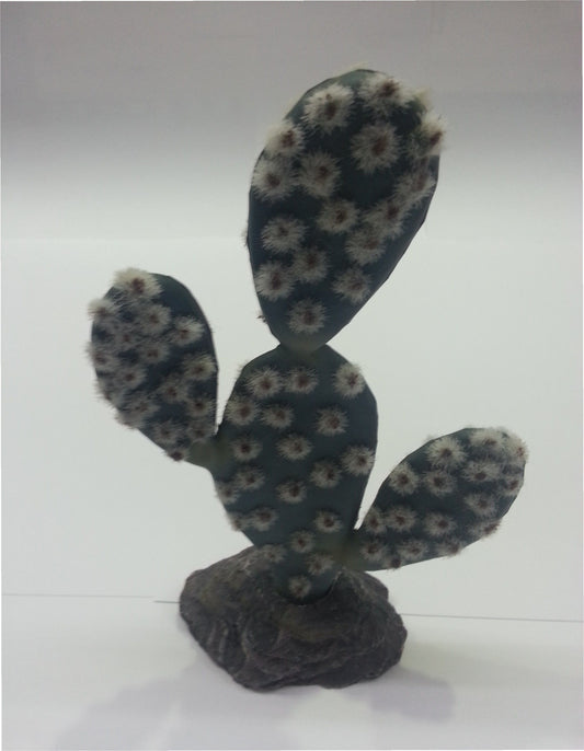 CACTUS SAHARA 19CM.**